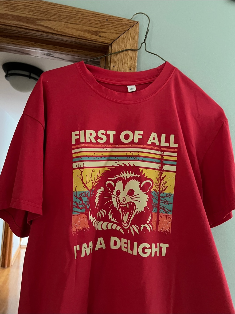 Large women’s  Red Graphic Tee - "First of All I'm a Delight"